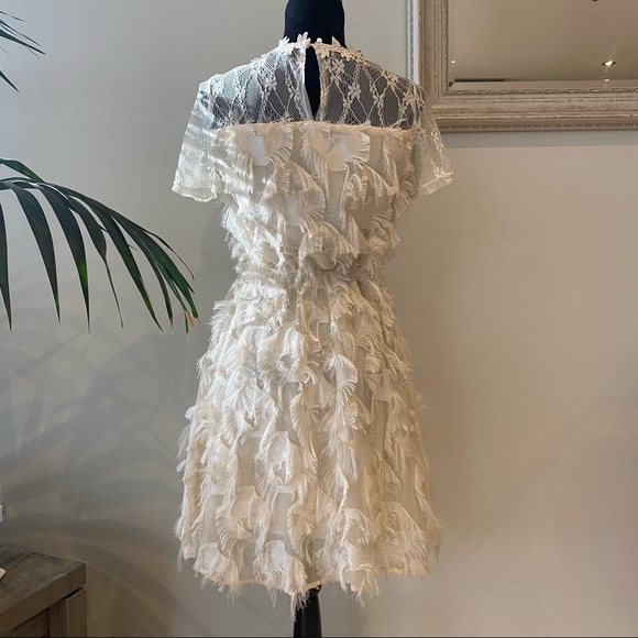 VALLEYGIRL Dust Pink Fringe Midi Dress Lace Romantic Evening Fit & Flare Size 8 - Picture 8 of 14